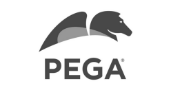 PEGA LOGO - VDA CLIENT
